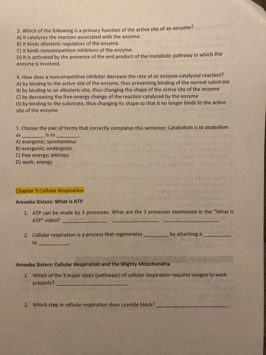 what is the primary function of the active site of an enzyme