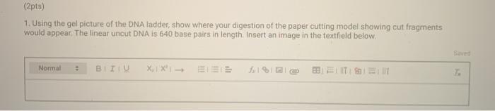 (2pts) 1. Using the gel picture of the DNA ladder, | Chegg.com