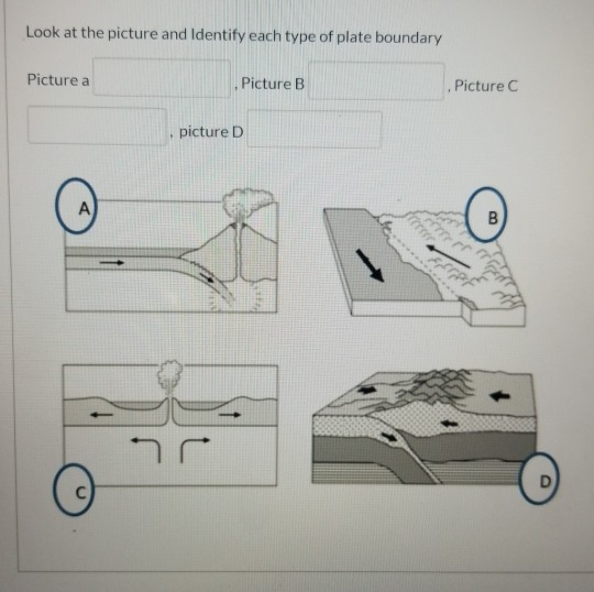 Solved Look At The Picture And Identify Each Type Of Plate 