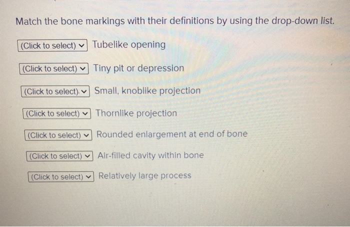 solved-match-the-bone-markings-with-their-definitions-by-chegg