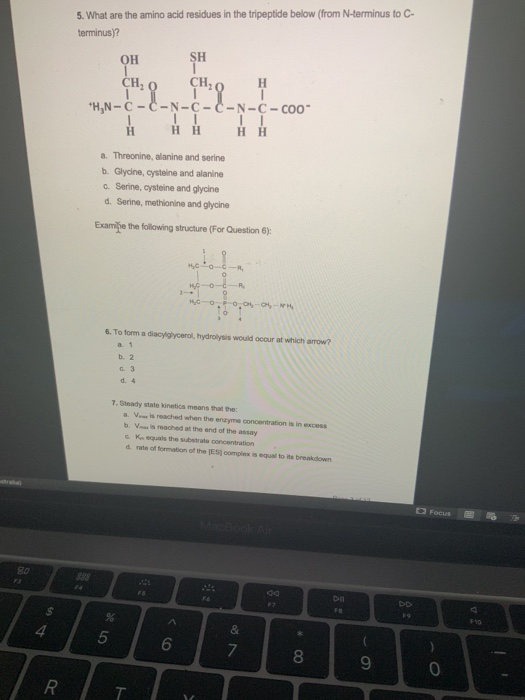 Solved 5. What are the amino acid residues in the tripeptide | Chegg.com