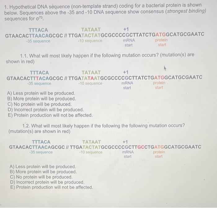 solved-1-hypothetical-dna-sequence-non-template-strand