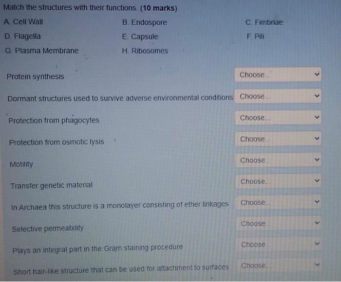 Solved Match The Structures With Their Functions (10 Marks) | Chegg.com