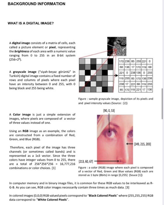 A DIGITAL IMAGE CROPPING TOOL In this homework, you | Chegg.com