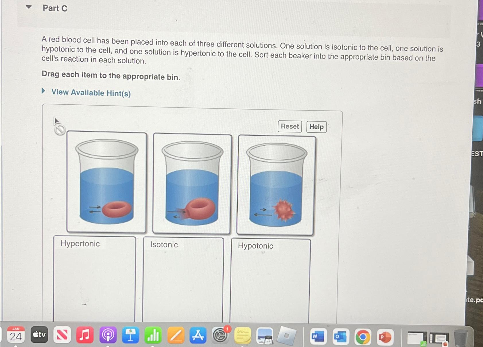 Solved Part CA red blood cell has been placed into each of | Chegg.com