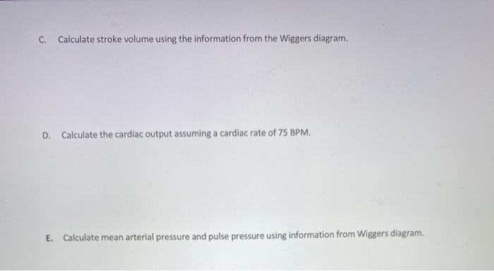 Solved C. Calculate stroke volume using the information from | Chegg.com image.