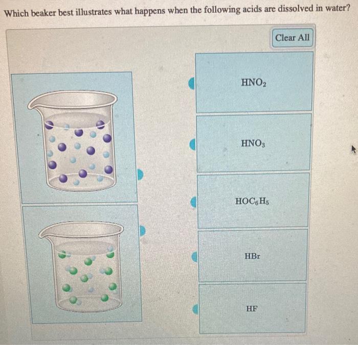Solved Which beaker best illustrates what happens when the