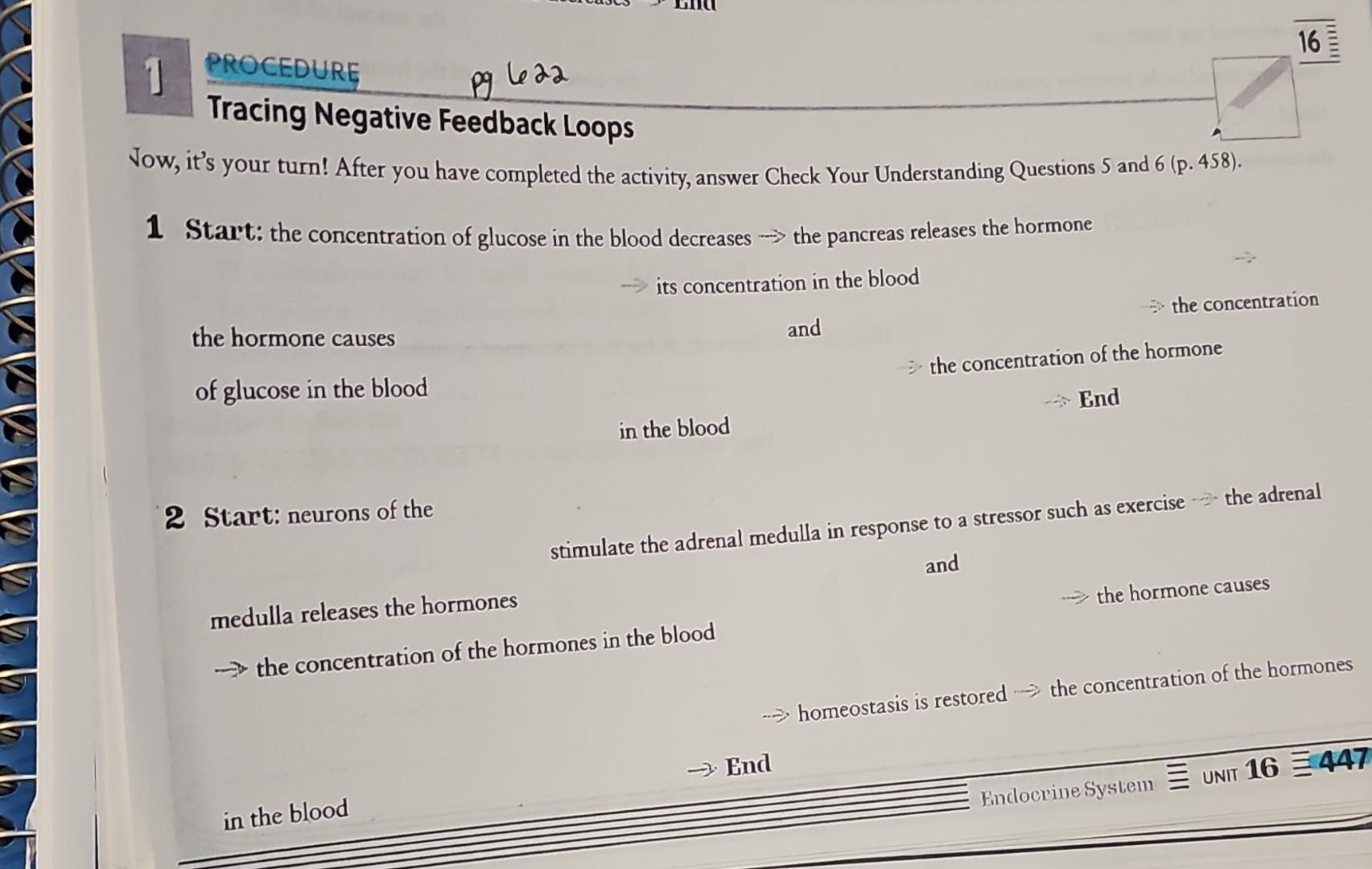 Solved 2 Start neurons of the stimulate the adrenal medulla