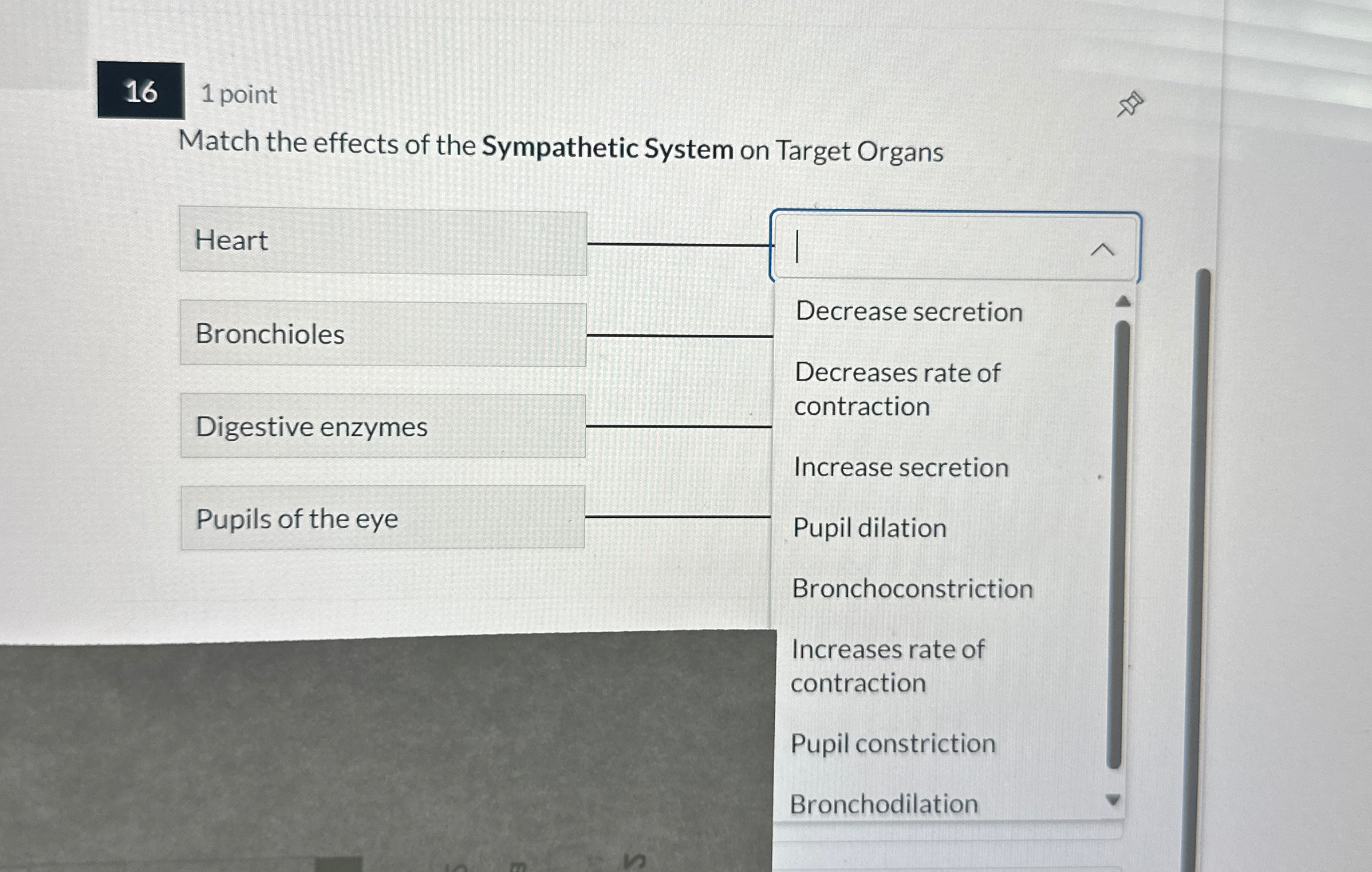 Solved 161 ﻿pointMatch the effects of the Sympathetic System | Chegg.com