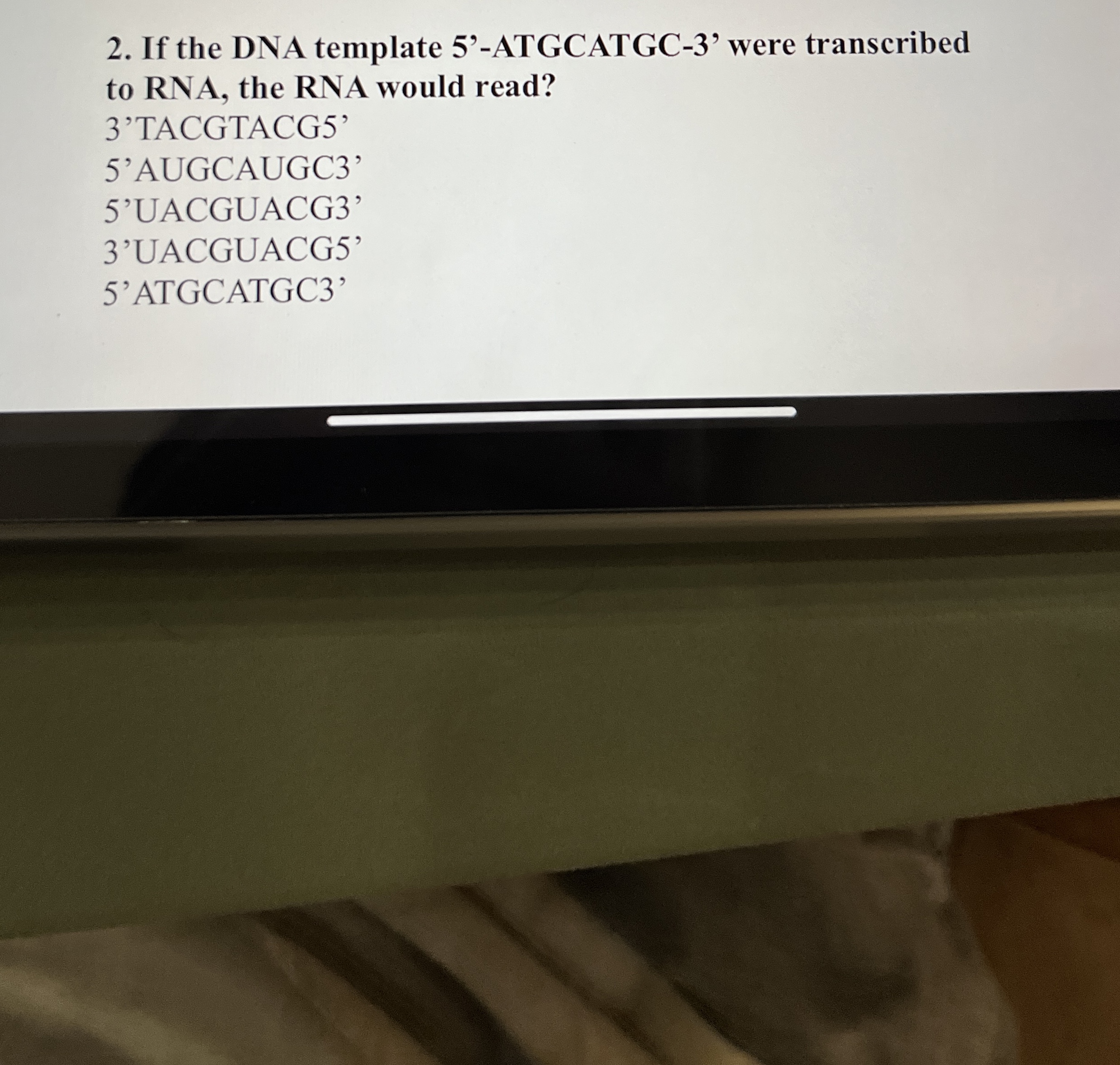 Solved If the DNA template 5'-ATGCATGC-3' ﻿were transcribed | Chegg.com
