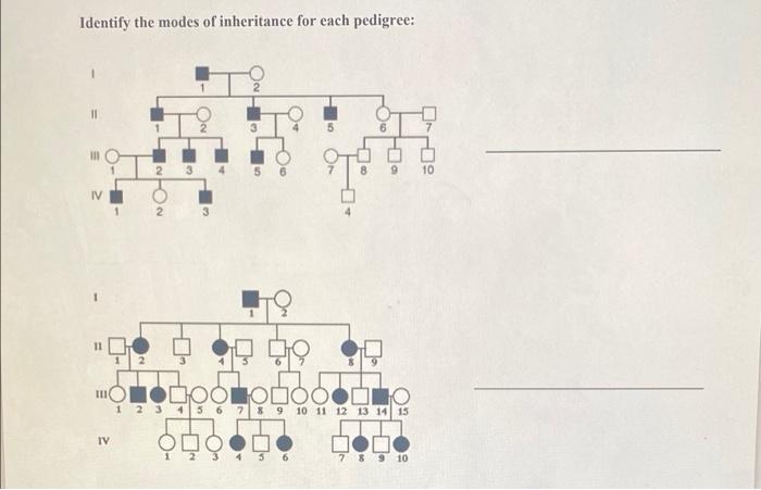 Solved Identify the modes of inheritance for each pedigree: | Chegg.com