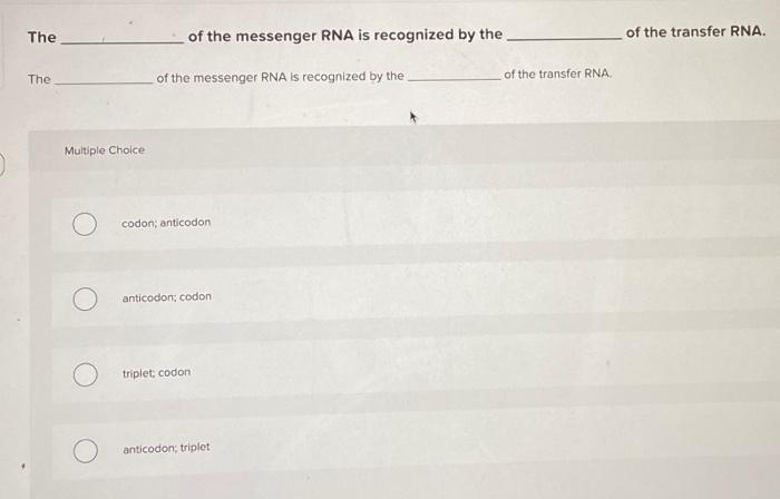 Solved The of the messenger RNA is recognized by the of the | Chegg.com