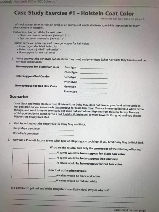 case study exercise #1 holstein coat color