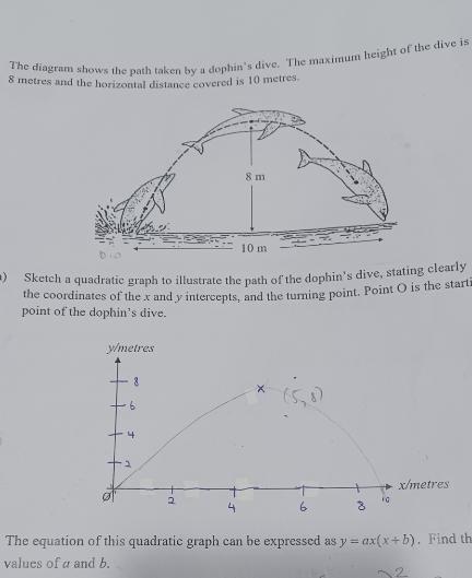Solved The diagram shows the path taken by a dephin's dive. | Chegg.com