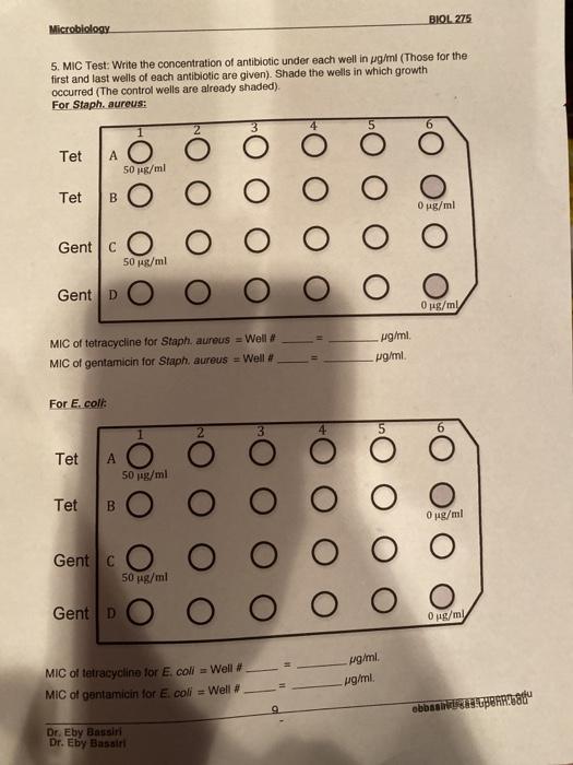Solved BIOL 275 Microbiology 5. MIC Test: Write the | Chegg.com