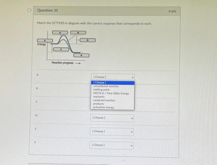 Solved Question 35 6 pts Match the LETTERS in diagram with | Chegg.com