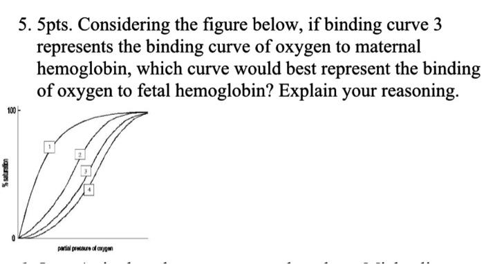 Solved 5. 5pts. Considering the figure below, if binding | Chegg.com