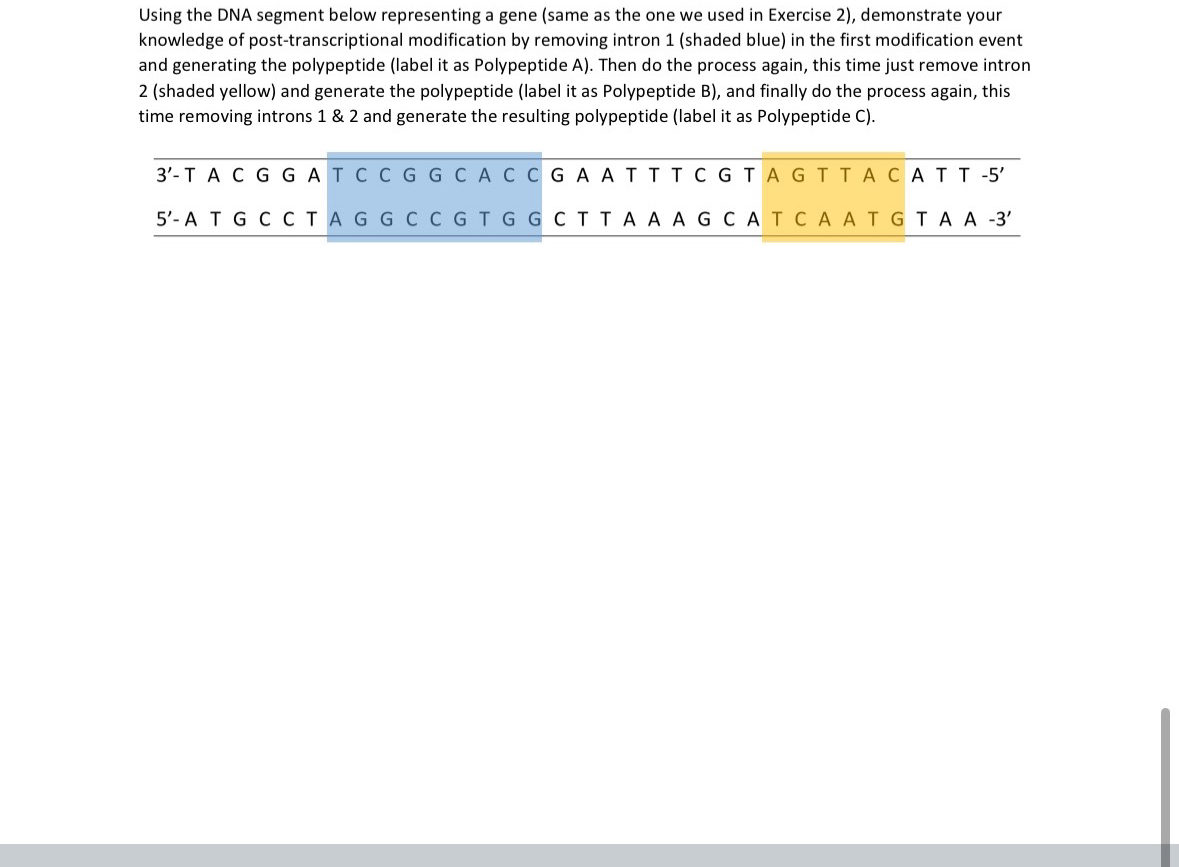 Solved Using the DNA segment below representing a gene (same | Chegg.com