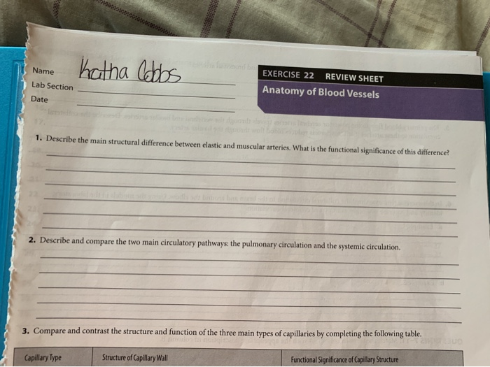 Solved Katha Cobbs Name Lab Section Date EXERCISE 22 REVIEW | Chegg.com