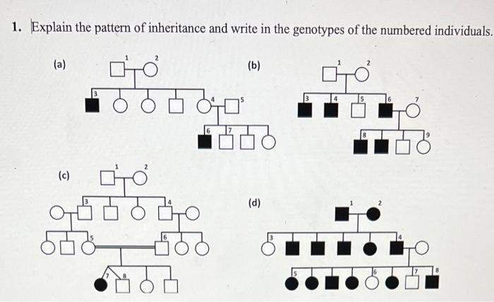 Solved 1. Explain the pattern of inheritance and write in | Chegg.com