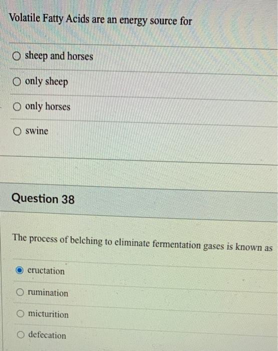 [Solved] Volatile Fatty Acids are an energy source for O s