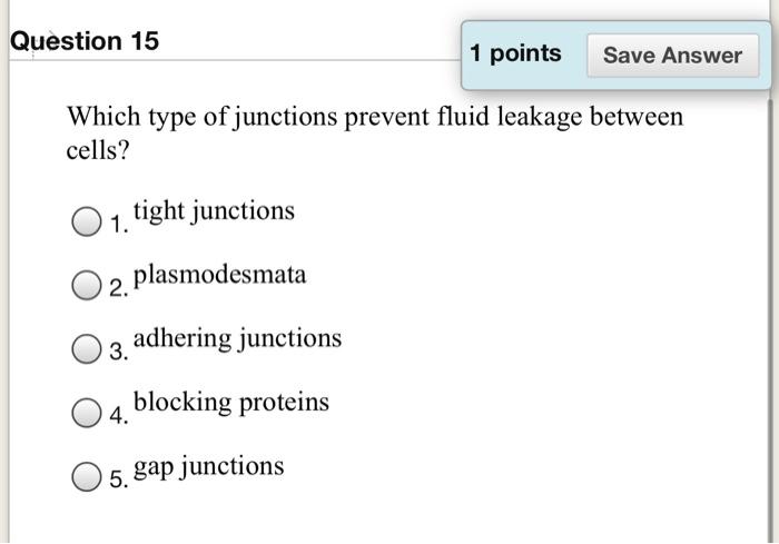 Solved Question 15 1 points Save Answer Which type of | Chegg.com