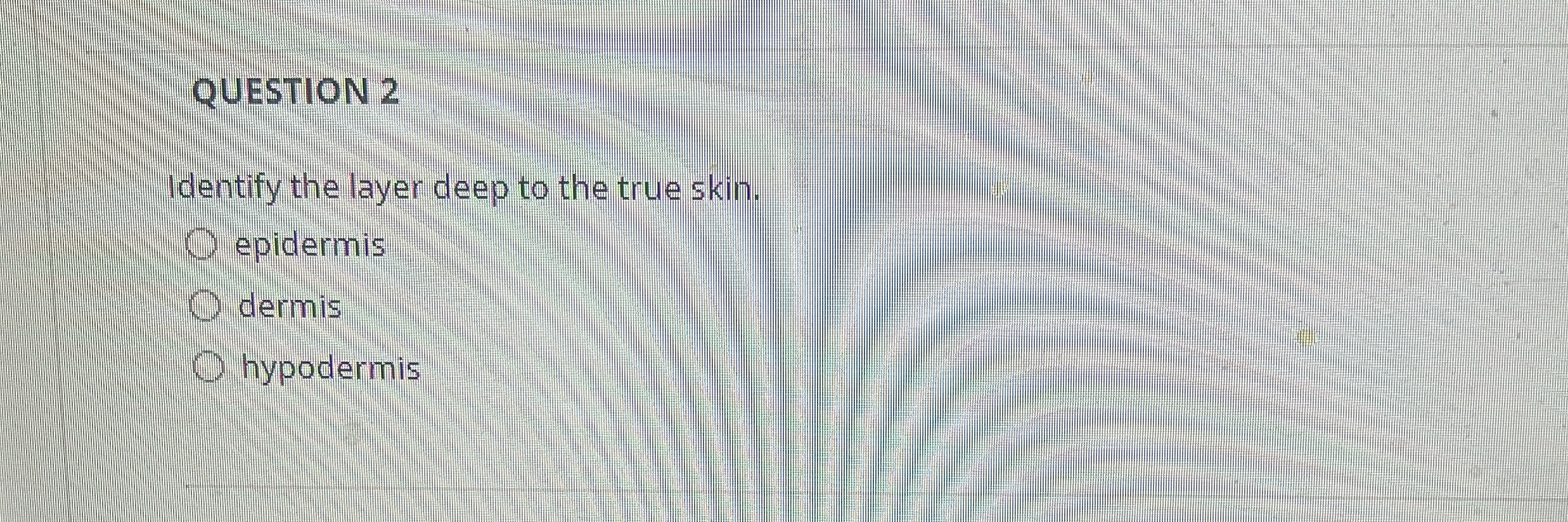 Solved QUESTION 2Identify the layer deep to the true