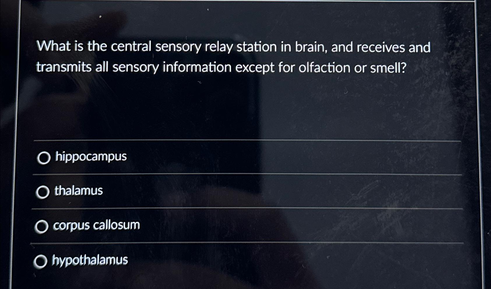 What is the central sensory relay station in brain,