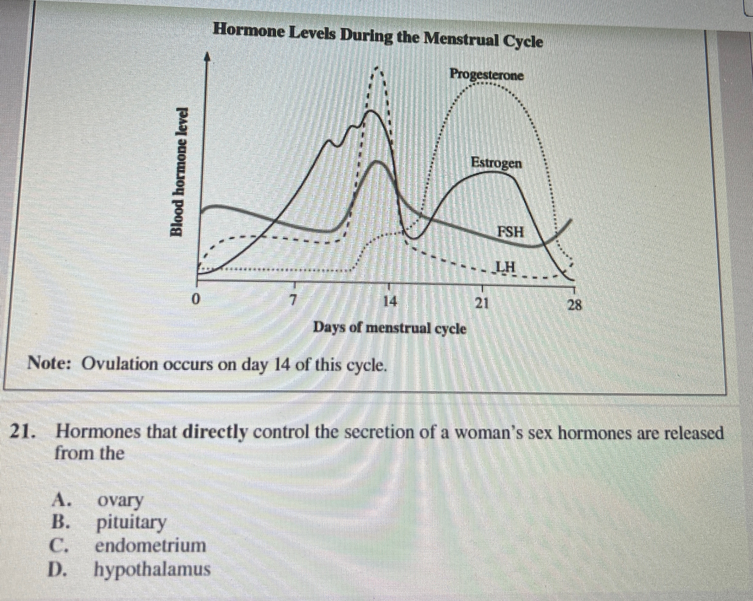 Solved Hormone Levels During the Menstrual CycleNote: | Chegg.com