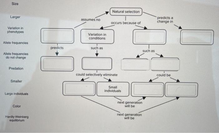 Solved Complete The Concept Map Describing Natural Selection Chegg Com   Image