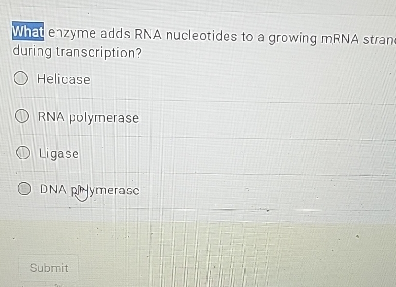 Beyond The Enzyme Discovering Rna S True Potential - 4gtbkxe
