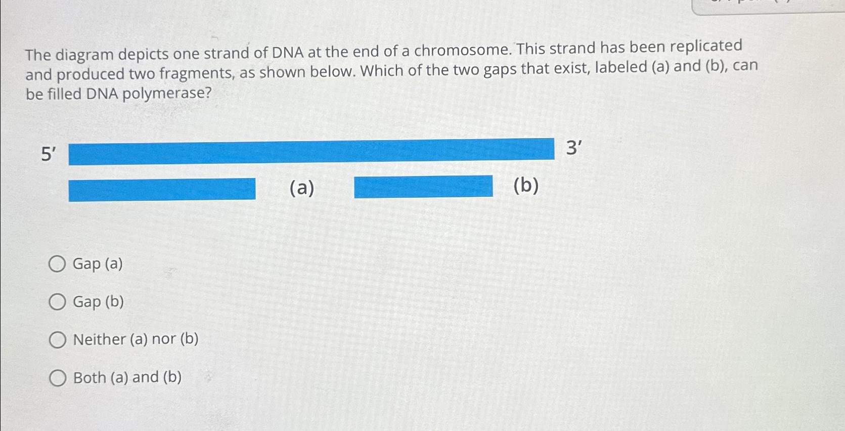 Solved The diagram depicts one strand of DNA at the end of a | Chegg.com