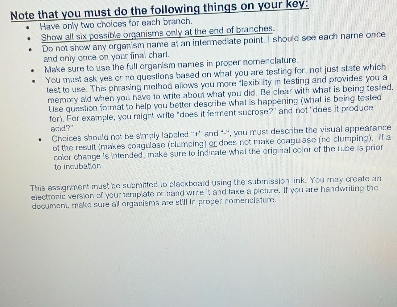 Solved DICHOTOMOUS KEY FLOWCHART: During the unknown | Chegg.com