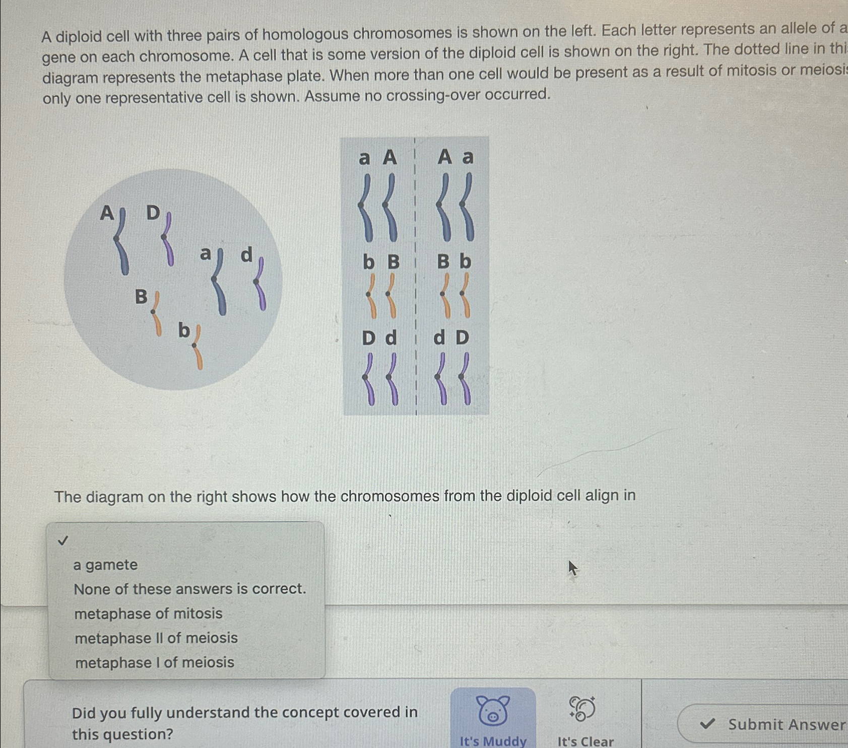 Solved A diploid cell with three pairs of homologous | Chegg.com