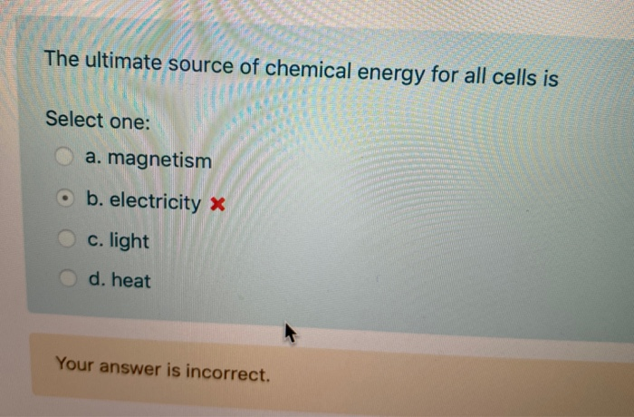 the ultimate source of most of the chemical energy in cells is