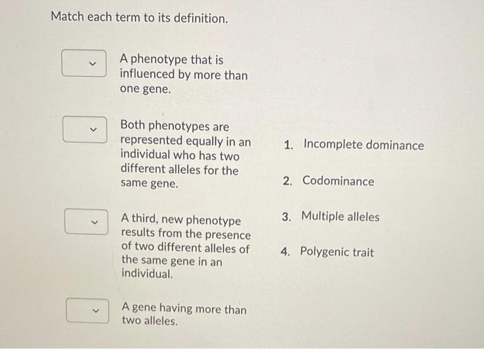 Solved Match each term to its definition. A phenotype that