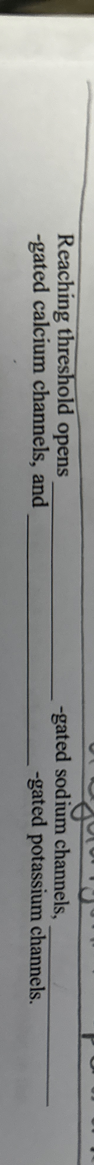 Solved Reaching threshold opens q, -gated sodium channels, | Chegg.com