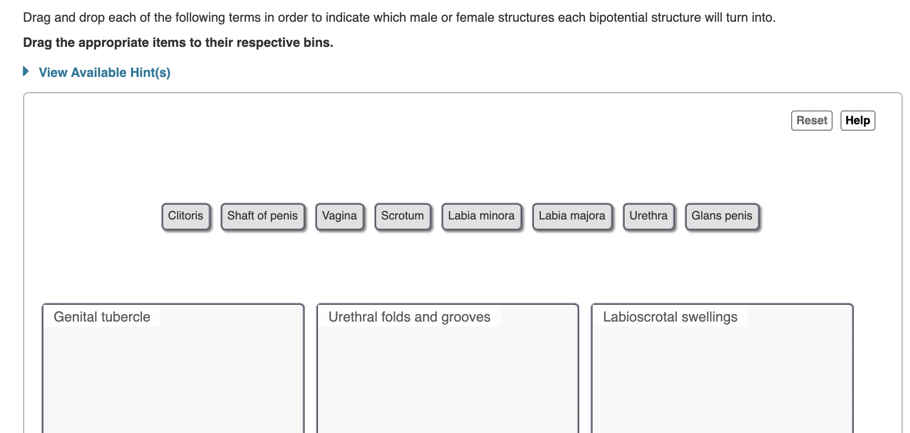 Solved Drag and drop each of the following terms in order to | Chegg.com