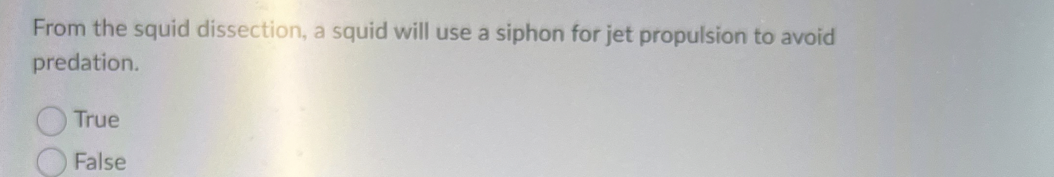 Solved From the squid dissection, a squid will use a siphon | Chegg.com