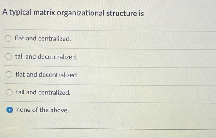 Solved A typical matrix organizational structure is flat and | Chegg.com