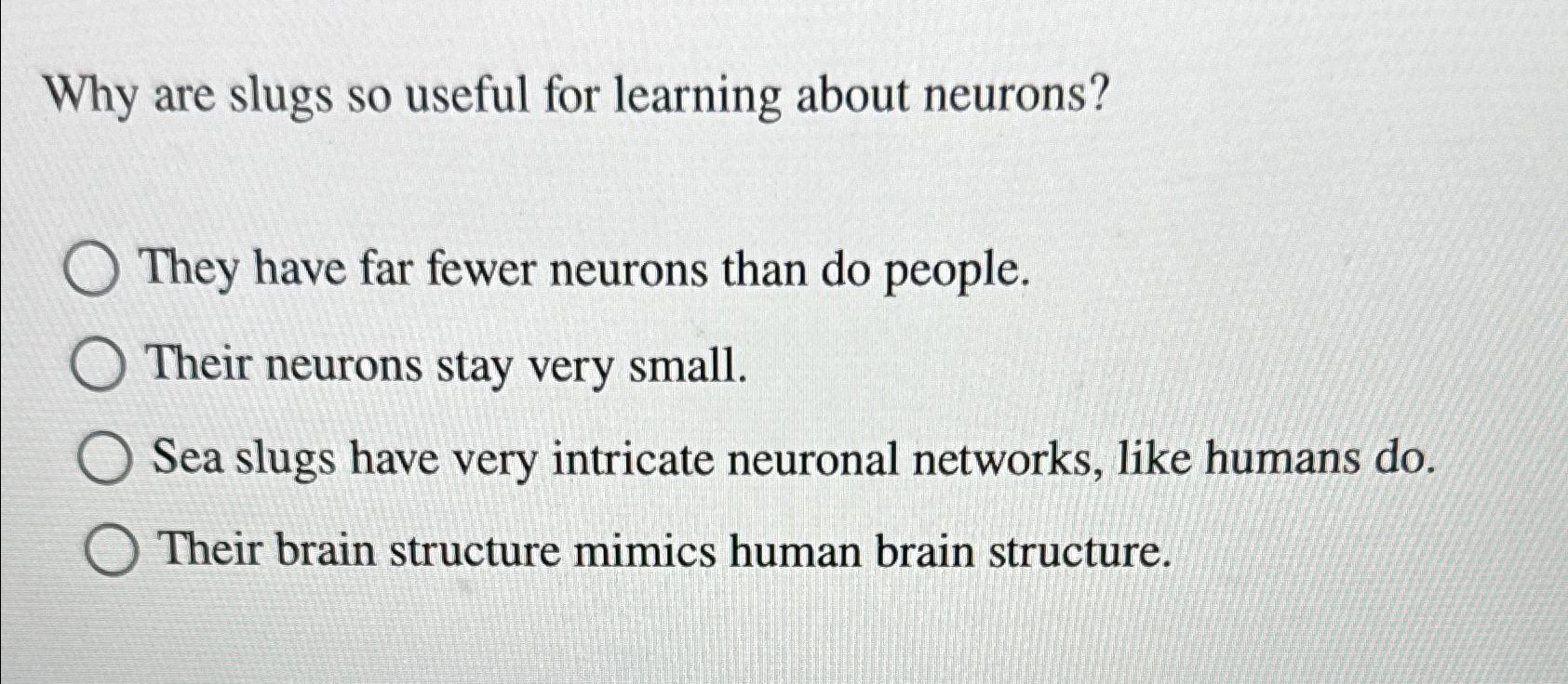 Solved Why are slugs so useful for learning about | Chegg.com