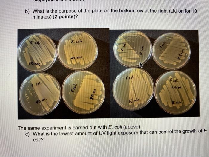 A UV light exposure experiment is carried out with | Chegg.com