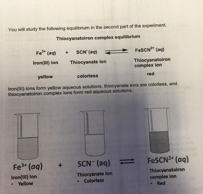 Solved You will study the following equilibrium in the | Chegg.com
