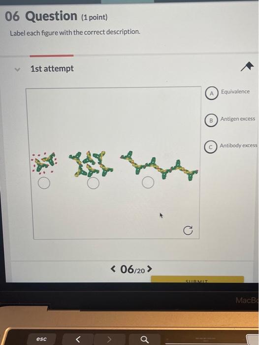 Solved 06 Question (1 point) Label each figure with the | Chegg.com