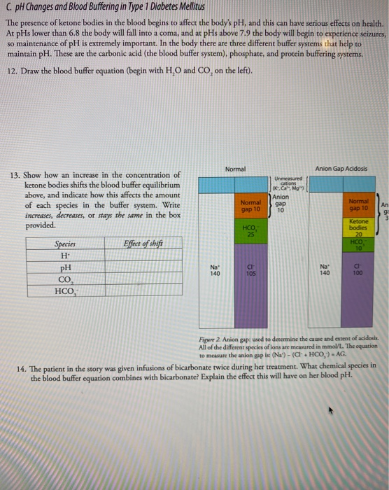 Bicarbonate Buffer System, Overview, Equation & Uses - Video & Lesson  Transcript