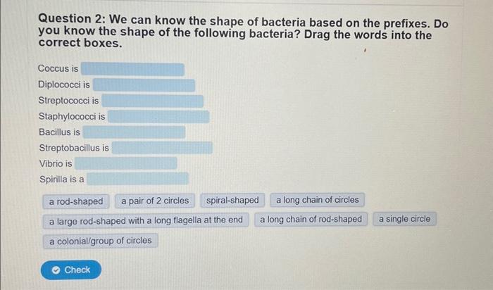 Solved Question 2: We can know the shape of bacteria based | Chegg.com
