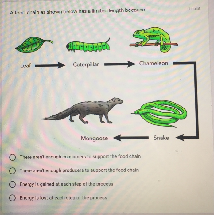 Solved 1 point A food chain as shown below has a limited | Chegg.com