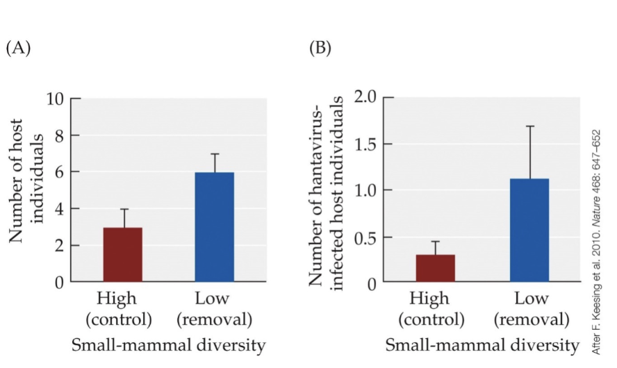 Solved A shows the number of host individuals in a normal | Chegg.com