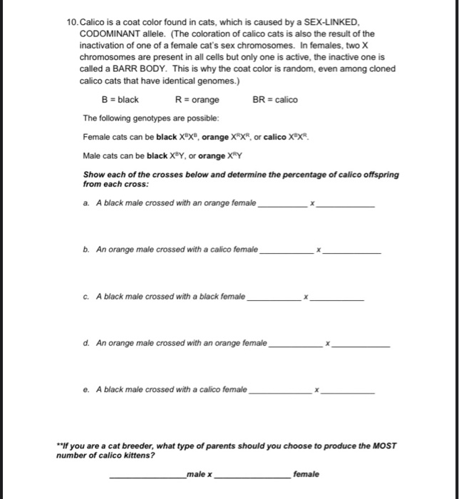 Solved 1 of 4 Name Lab day/time Seat # Genetics Homework 1. | Chegg.com