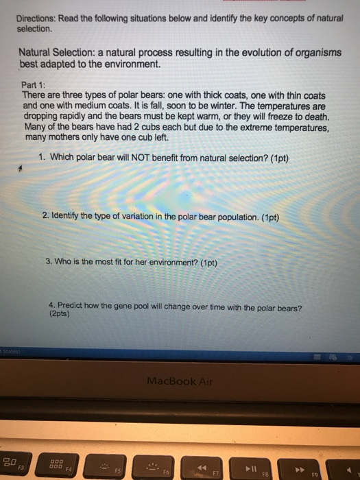 Solved Directions: Read the following situations below and | Chegg.com